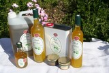 Producteur huile d’olive sainte maxime